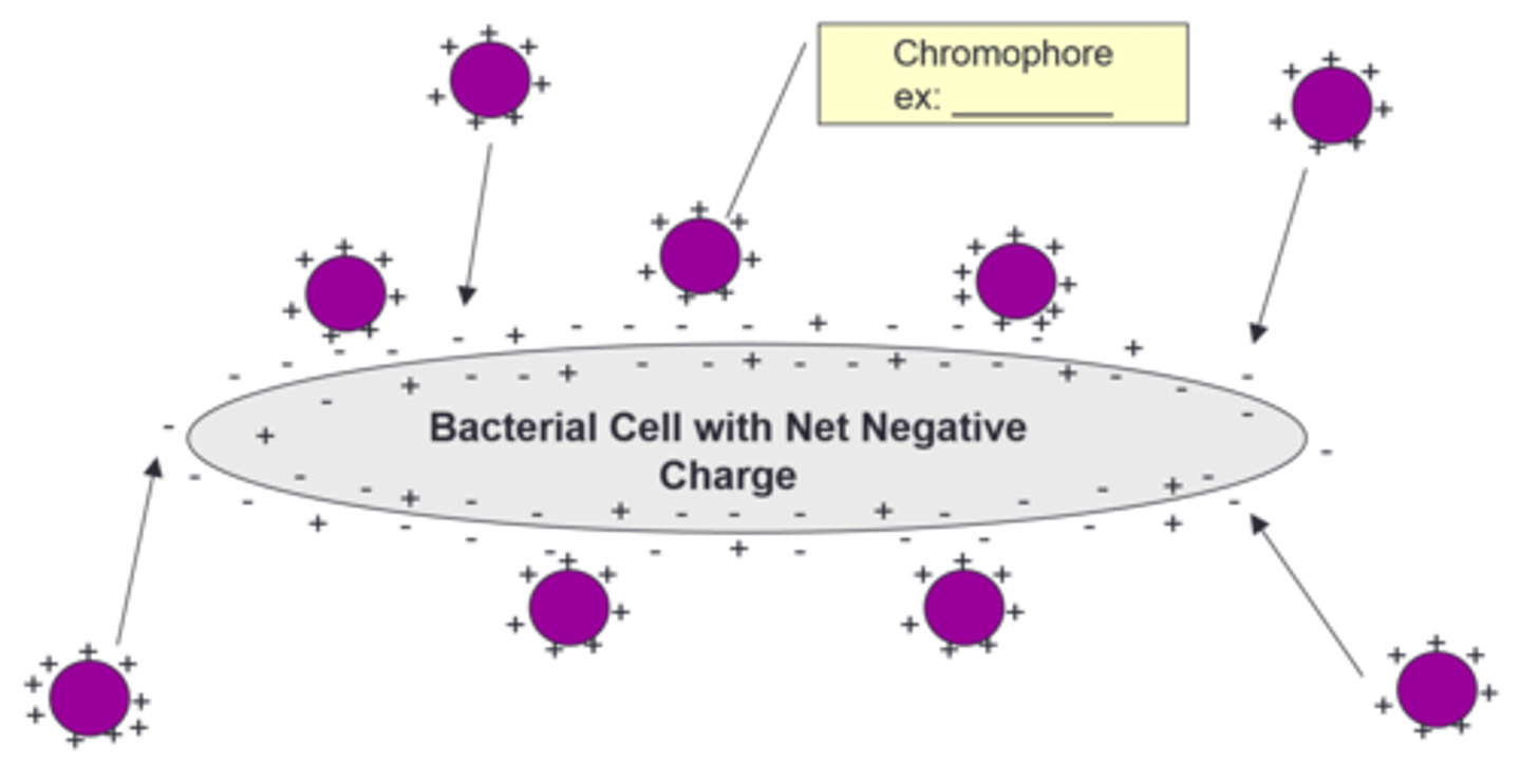 <p>Fill in the blank:</p>