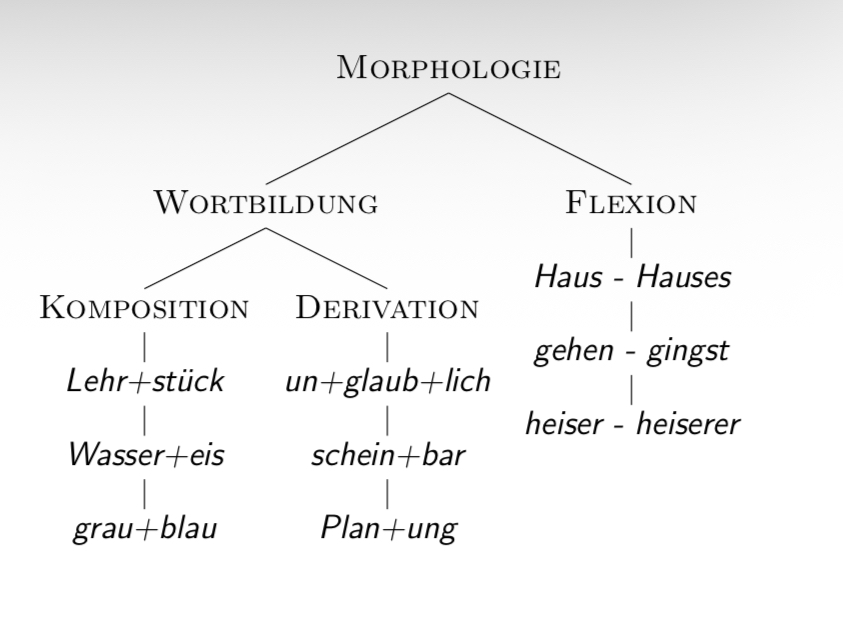 <p><span>Teilgebiete der Morphologie</span></p>