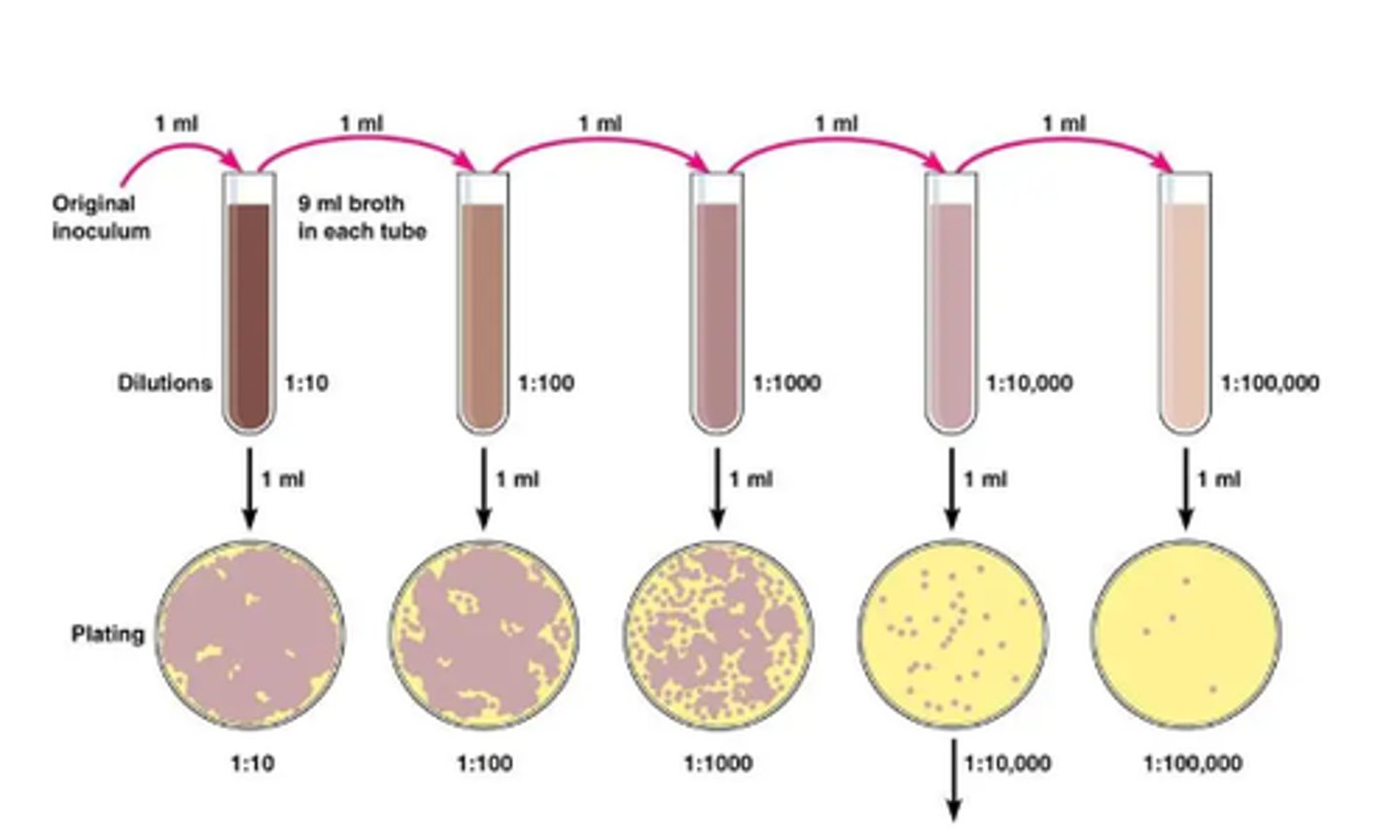 <p>Identify the setup</p>