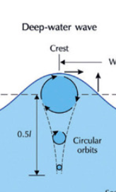 <p>circular</p><p>moving up and down not acc towards the coast</p>