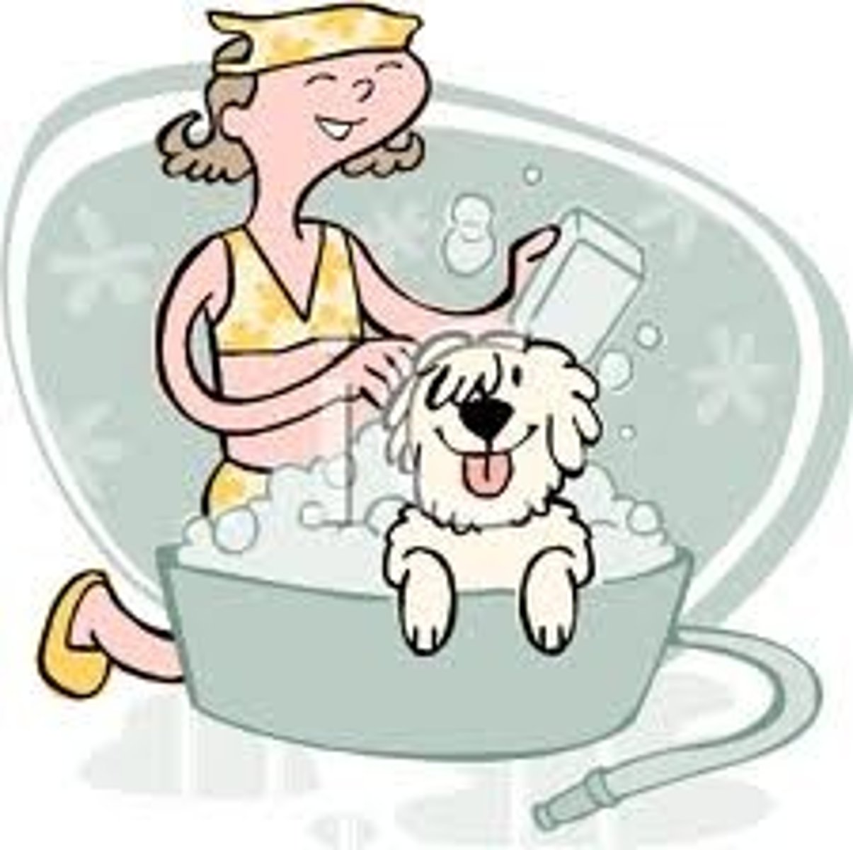 <p>to bathe the dog</p>