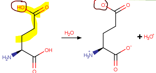 <p>Polar Acidic (2)</p>