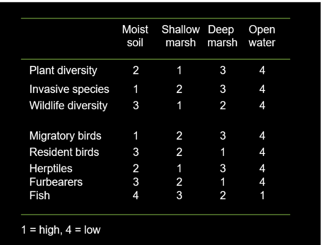 <p><span>Center of a lake/ocean, biodiversity is very low, fish are the obvious exception for this, not a lot of fish by the dirt&nbsp;&nbsp;</span></p>