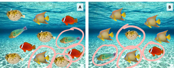 <p>Equal amount of species richness in both communities </p>