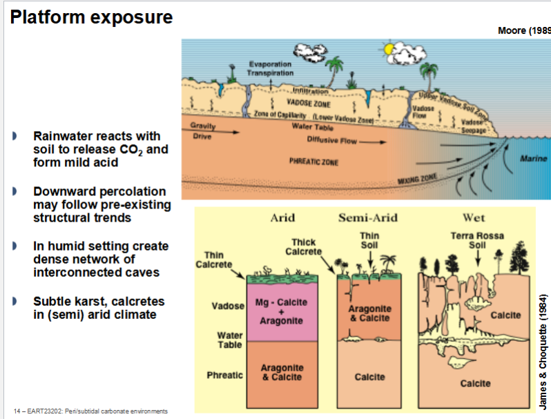 <p>Karstification <strong>-</strong> <strong>chemical dissolution of soluble rocks</strong> (especially limestone and dolomite) by <strong>slightly acidic water</strong>.</p>