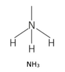 <p>1 lone pair on central atom, 3 bonding electron pairs</p>