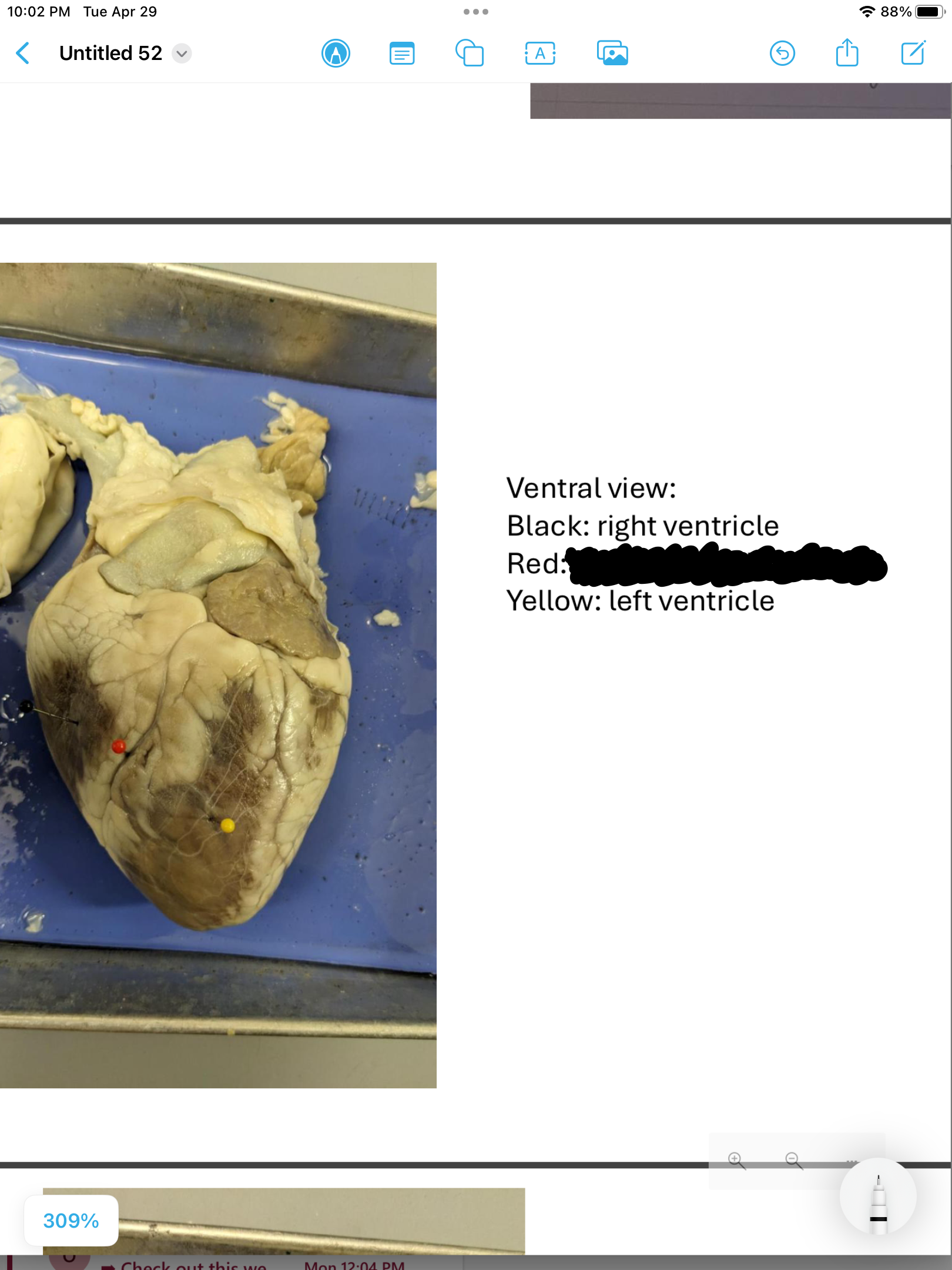 <p>label the area</p>