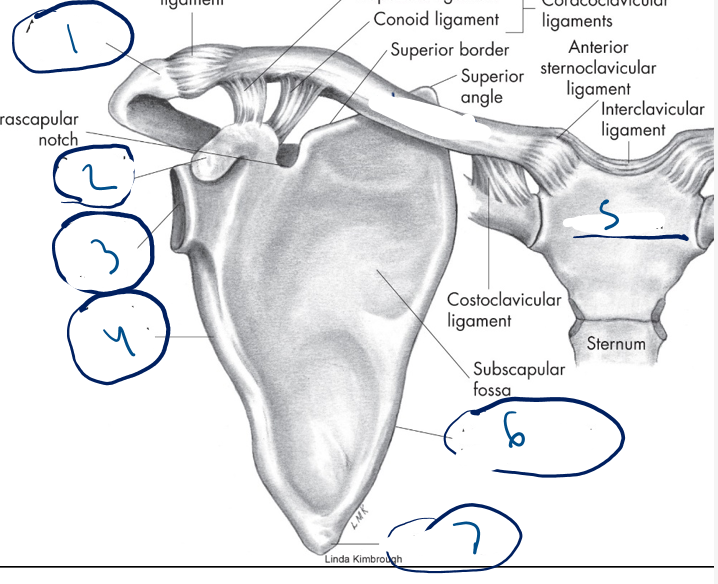 <p>1</p>