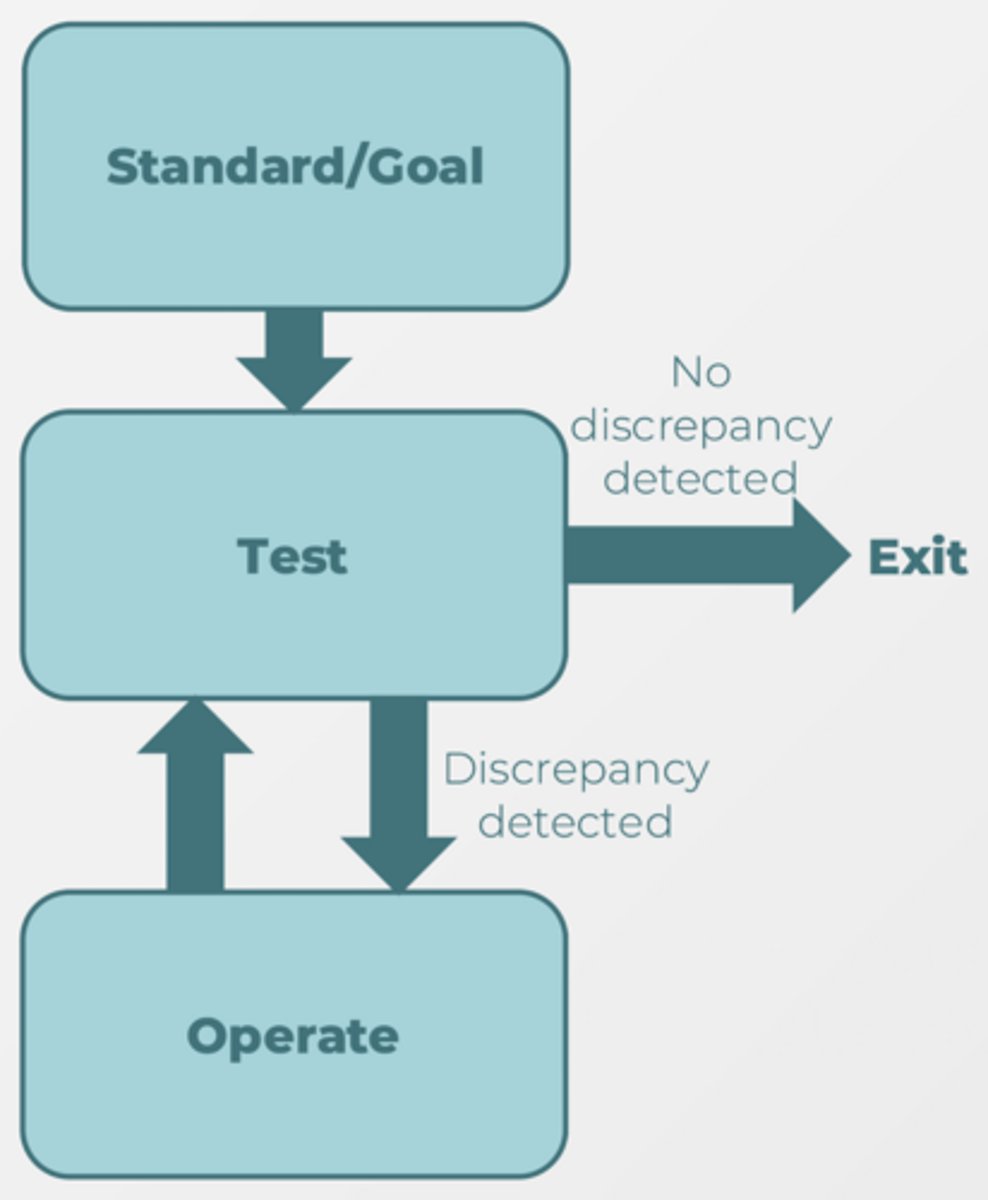 <p>- Feedback loop model of self-regulation</p><p>- Steps:</p><p>1. Standard: Identify desired end state</p><p>2. Test: Monitor discrepancy between current state and standard</p><p>3. Operate: Adjust behaviour toward desired direction</p><p>4. Test: Result of "operate" becomes input for another test</p><p>5. Exit: Occurs when current state matches desired standard</p>