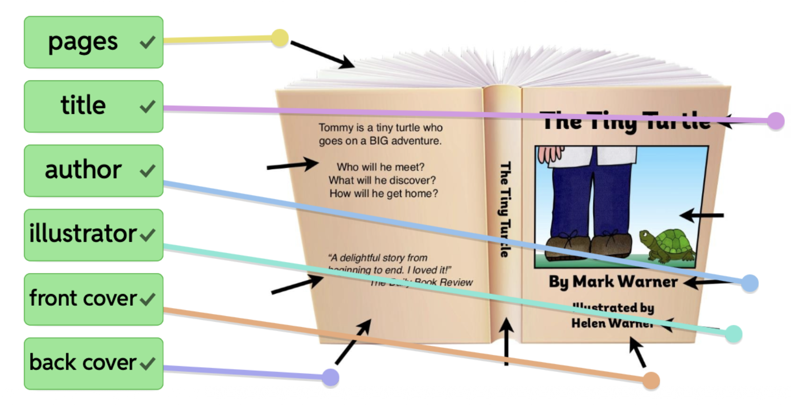 <p>📘 Back (mặt sau) of book</p>