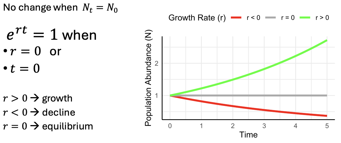 <p>The growth rate at any moment, indicates growth, decline, or equilibrium</p>