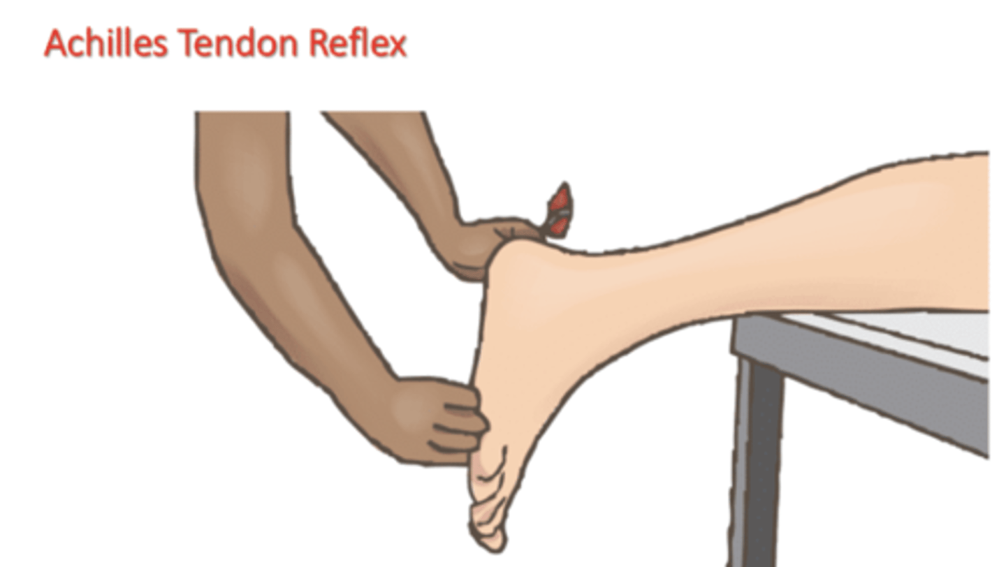 <p>Who receives: overweight adults 40-70</p><p>Aimed to prevent: disability and death</p><p>Screening Frequency: every 3 yrs</p>