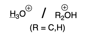 <p>hydronium ion, protonated alcohol, ether</p>
