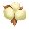 <p>Cotton</p>