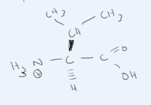 <p>What amino acid is this?</p>