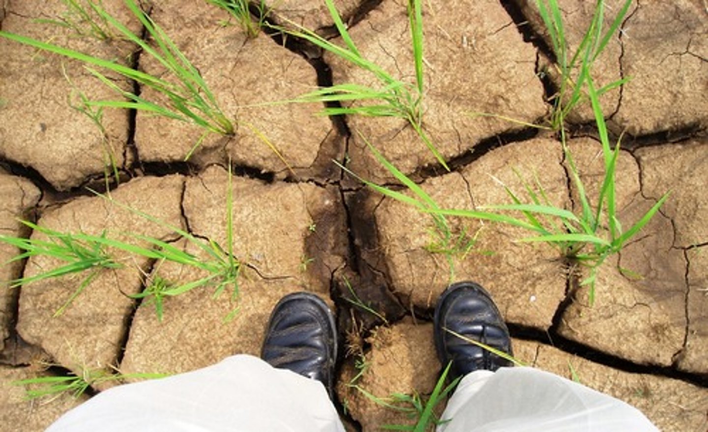 <p>a long period without rain</p>