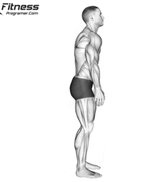 <p>moving a body part on the transverse plane forward</p>