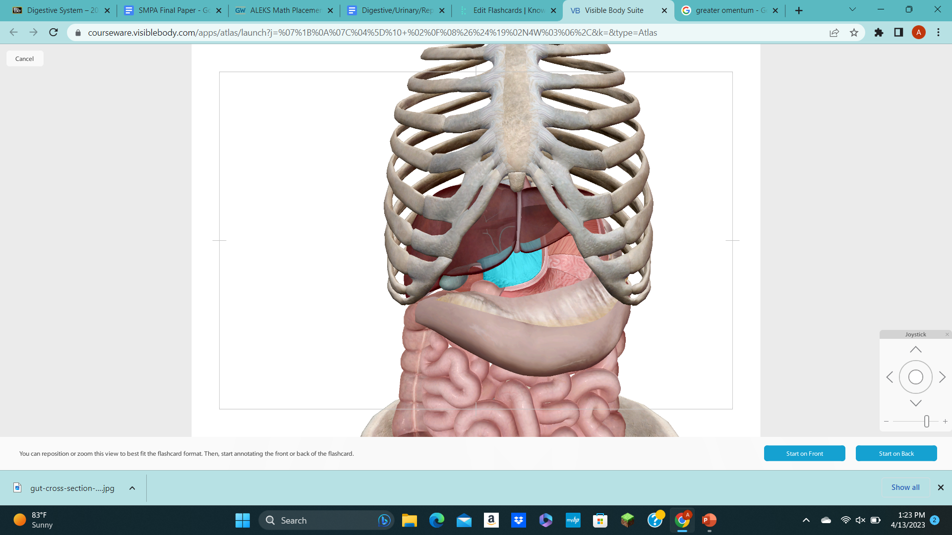 knowt flashcard image
