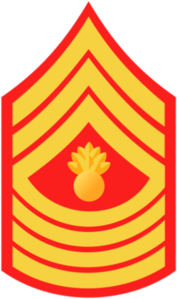 <p>3 stripes, exploding bomb, 4 rockers</p>