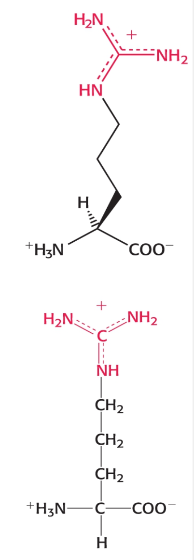 <p>Category: Positively Charged</p>