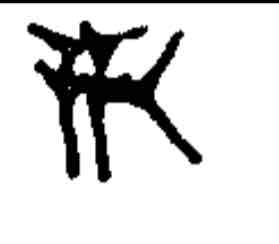 term image