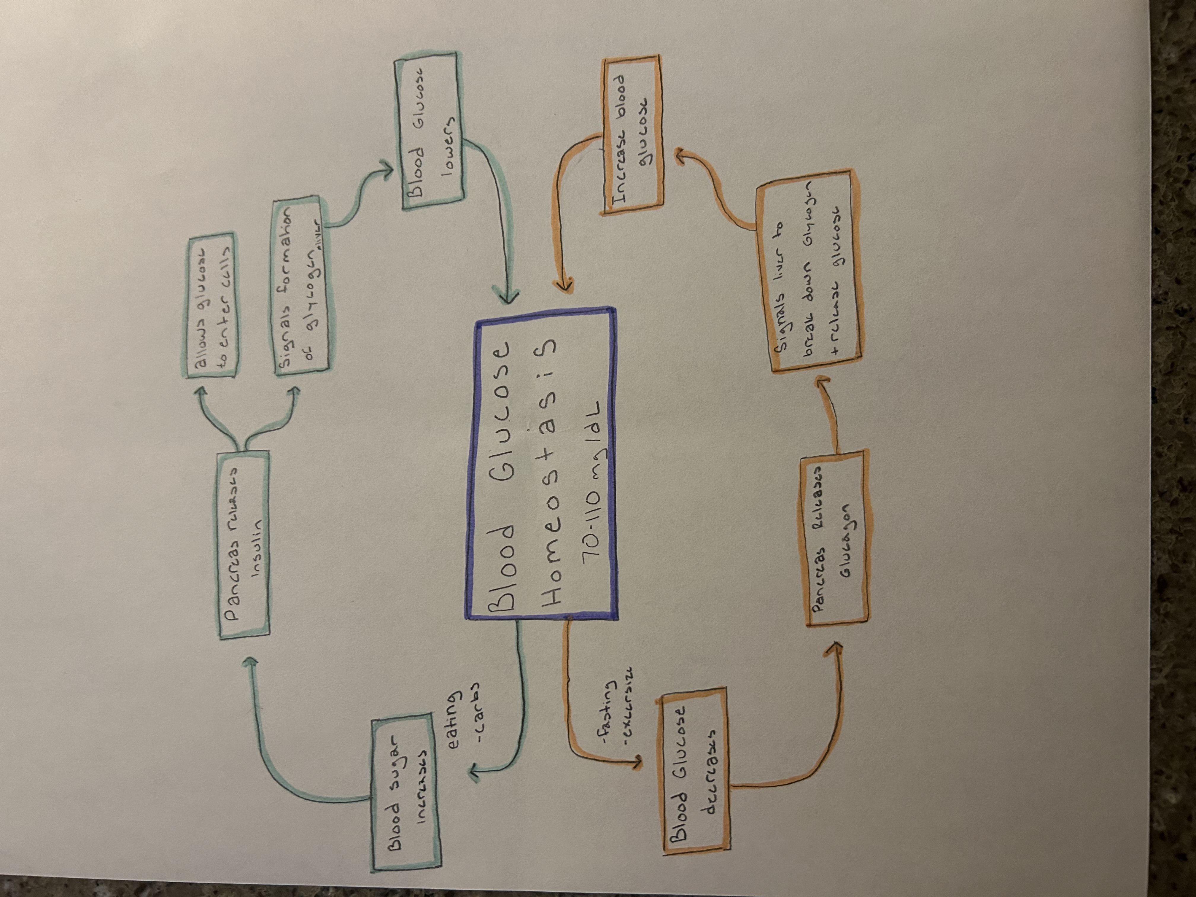 knowt flashcard image