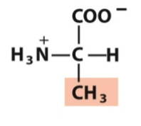 <p>Nonpolar, aliphatic</p>