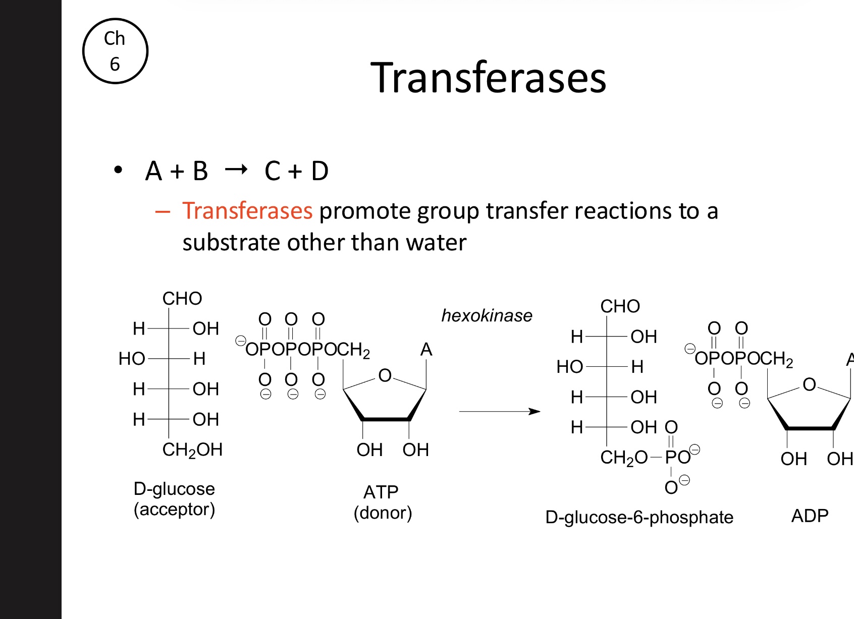 <p>Promote the transfer of functional groups from a donor to a substrate (acceptor) other than water. (Hexokinase)</p><ul><li><p>A+B→C+D</p></li></ul><p></p>