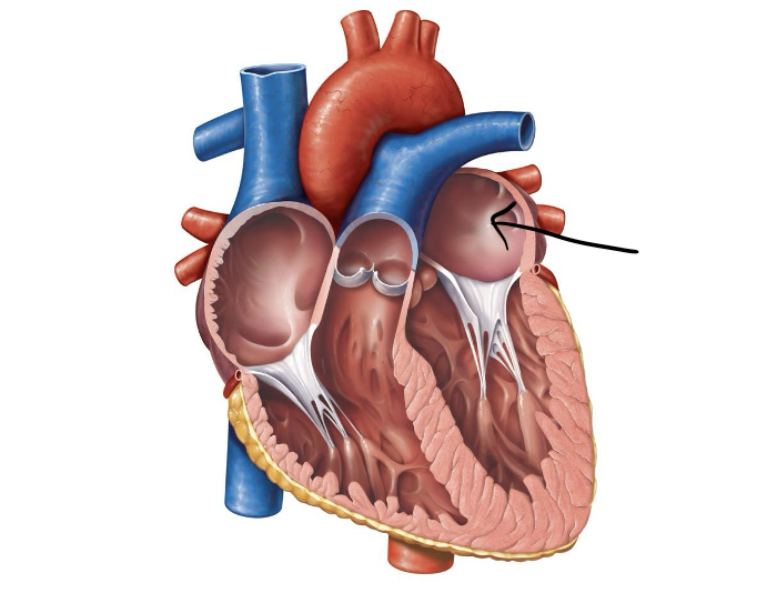 <p>Label and function</p>