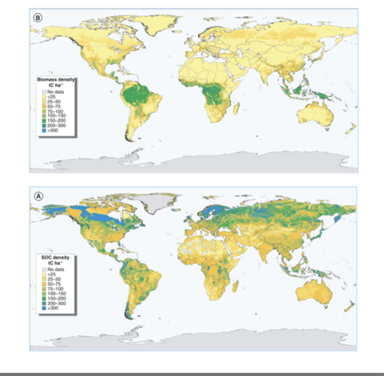 <p>Soil Carbon is highest in the high latitudes even though biomass is highest in the tropics because the tropics decompose matter very fast, while the high latitudes decompose extremely slowly</p><p>This is because in cold, high latitudes, soils are frozen and microbes are less active, so lead and dead roots do not break down quickly</p>