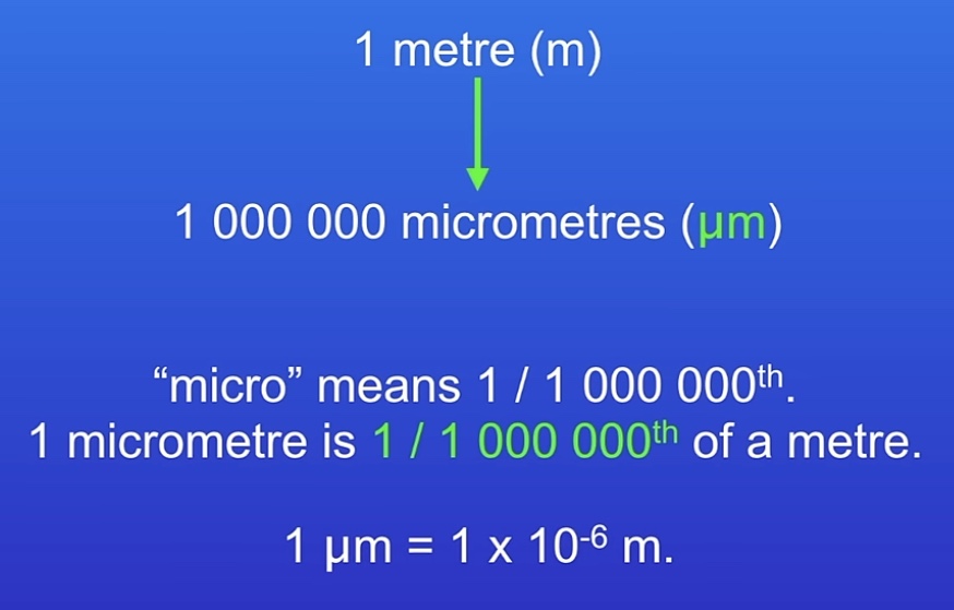 <p>Prokaryotic much smaller than eukaryotic</p><p>centimetre, millimetre, micrometre(cells), nanometre (1 × 10-9) (organelles)</p><p>1 micrometer = 0.001 mm</p>