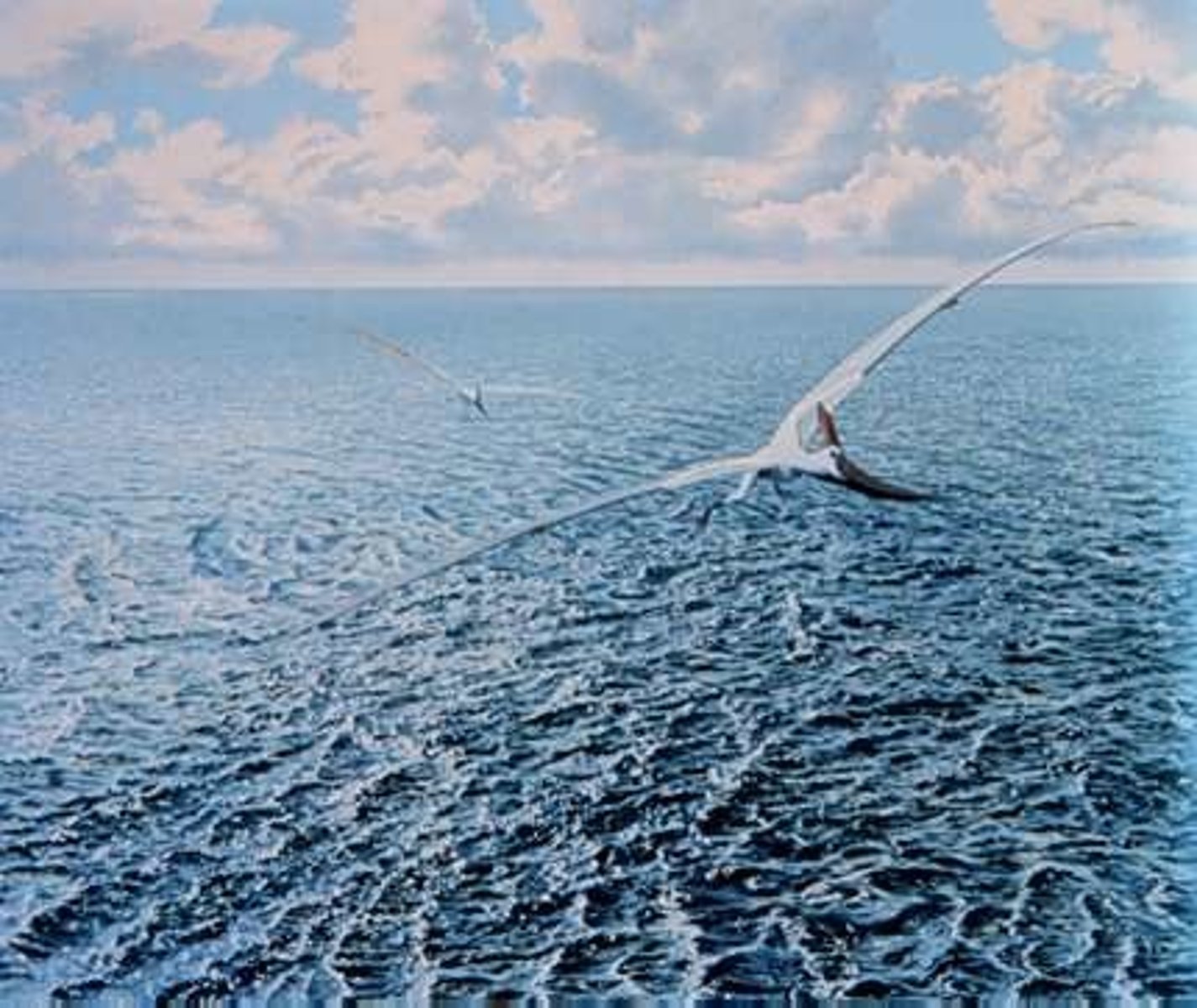 <p>Cretaceous, Submarine Colorado</p>