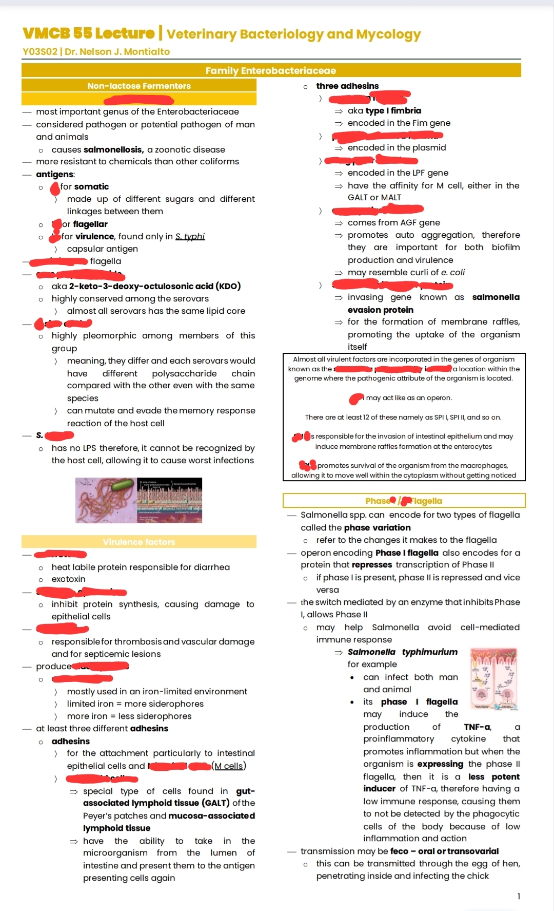 knowt flashcard image