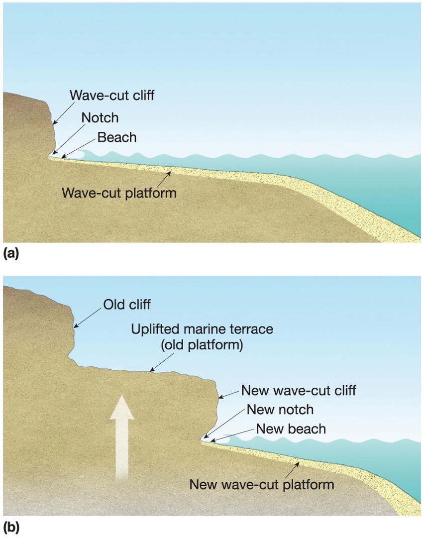 <p>When sea level lowers, what forms? </p>