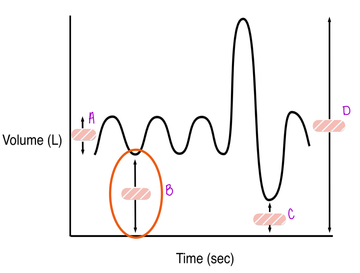 <p>B</p>