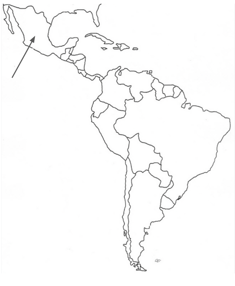 <p>what country is this?</p>