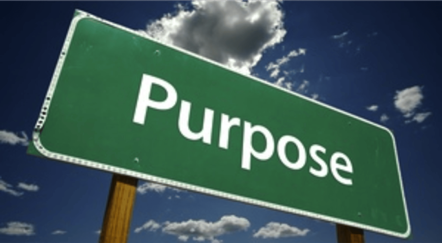 <p>purpose</p>