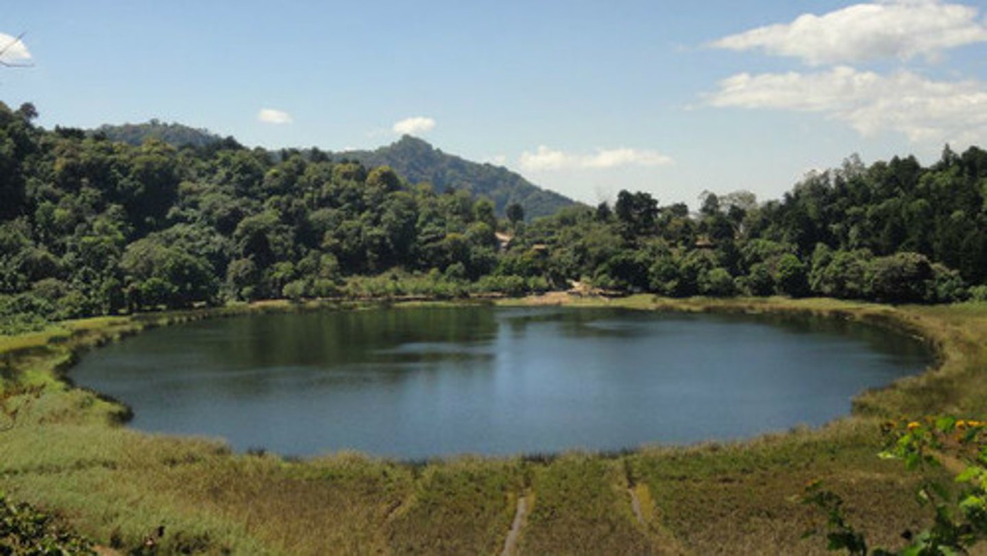 <p>a lagoon / pond</p>