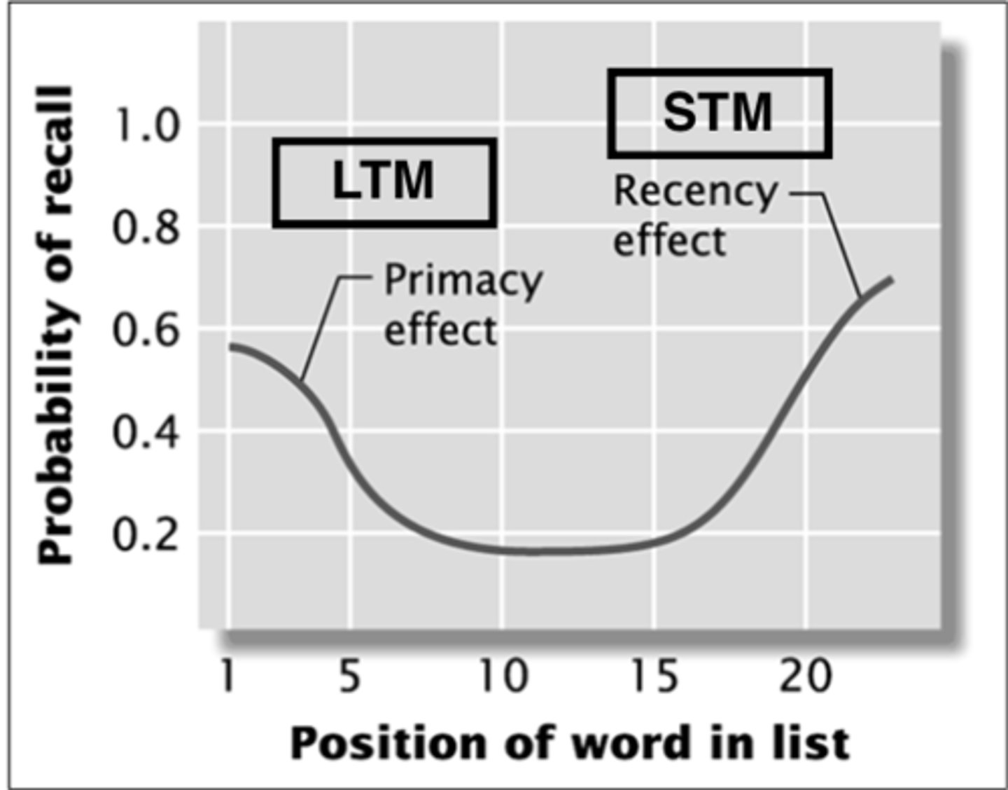 <ul><li><p>Words at the start of the list put into LTM</p></li><li><p>Words at the end were put into STM</p></li><li><p>Known as primacy and recency effect<br>↳ Can infer there are two stores of memory</p></li></ul><p></p>