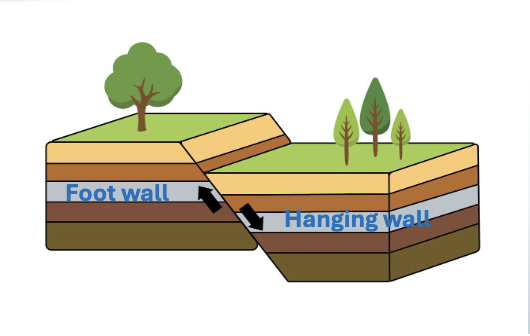 <ul><li><p>rocks break (brittle deformation) which results in faulting </p></li><li><p>occur in rifting zones, form from extension (vertical displacement) </p></li><li><p>hanging wall moves down relative to foot wall </p></li></ul><p></p>