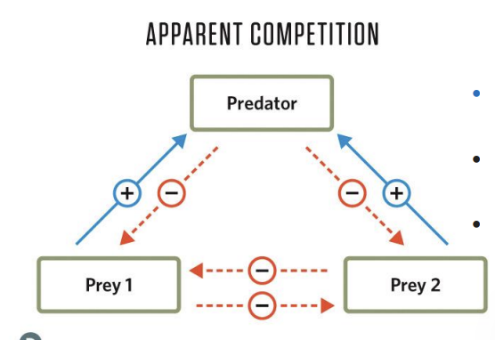 <p>Solid arrows for direct effects</p><p>Dashed arrows for indirect effects.</p><p></p><p>Examples: Wolves in Yellowstone NP. Sea otters &amp; kelp forests</p>