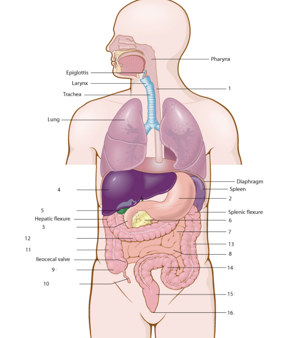 <p>What is number 10</p>