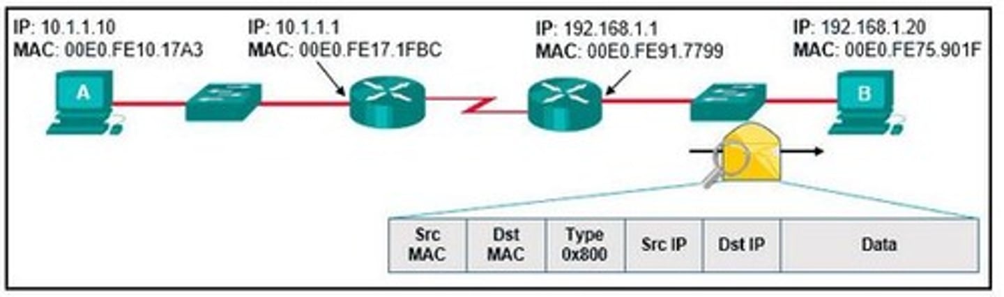 <p>Source MAC: 00E0.FE91.7799Source IP: 10.1.1.10</p>