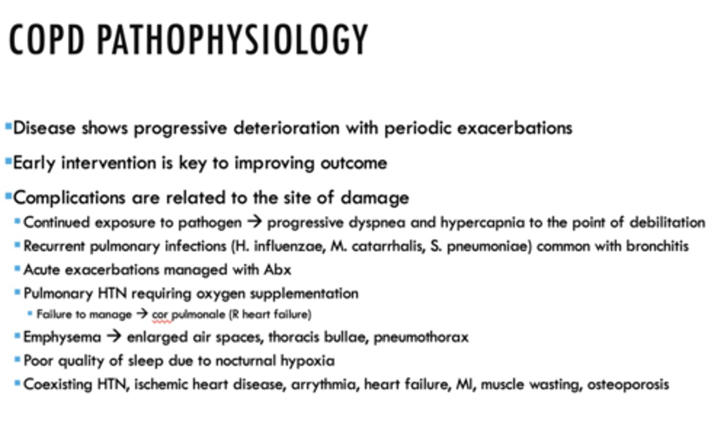 <p>Site of damage for COPD</p>