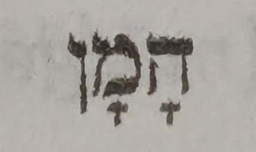 term image