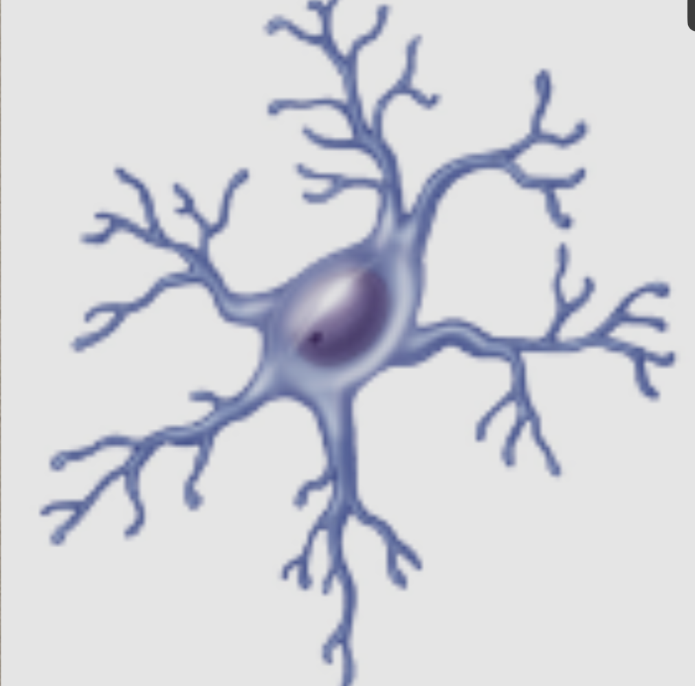 <p>What is this?</p>