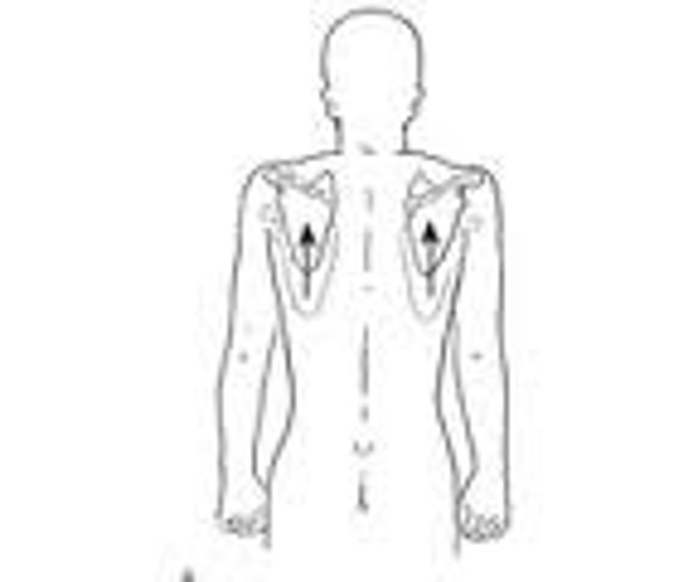 <p>raising a body part</p>