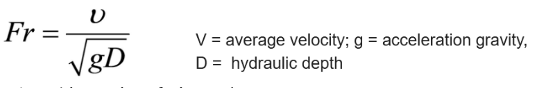 <p>verhouding tussen inertiekrachten en zwaartekracht </p>