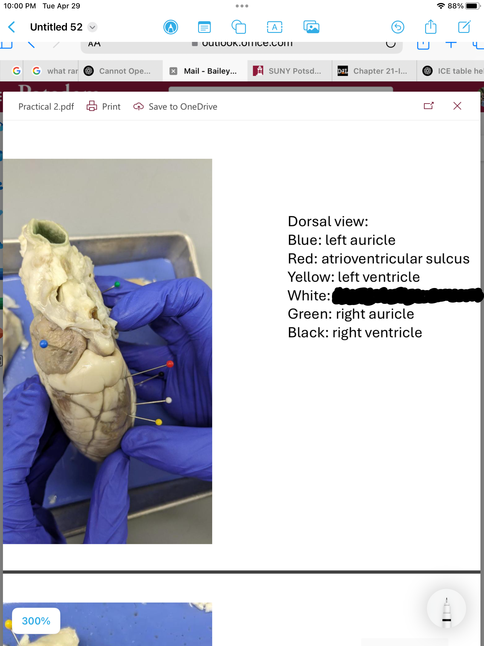 <p>label the area</p>