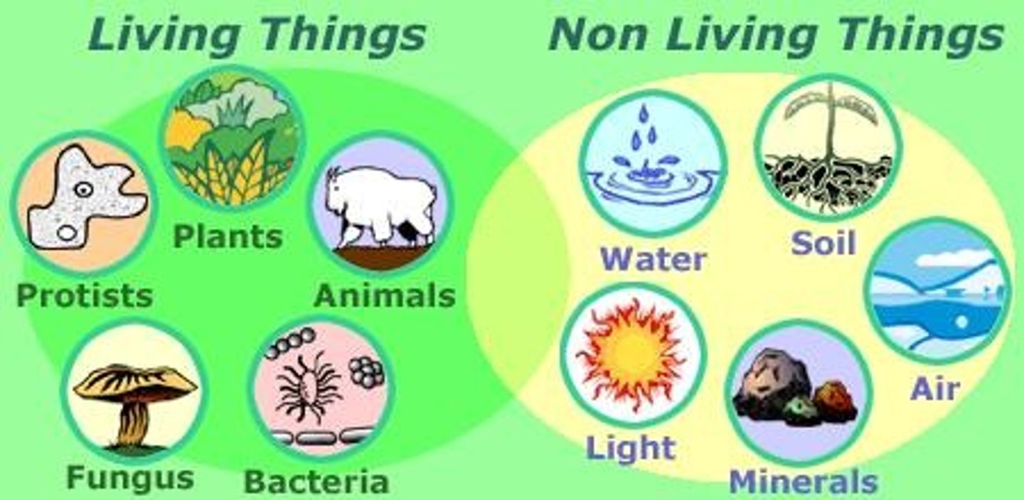 <p>Factors in an environment relating to, caused by, or produced by living organisms.</p>